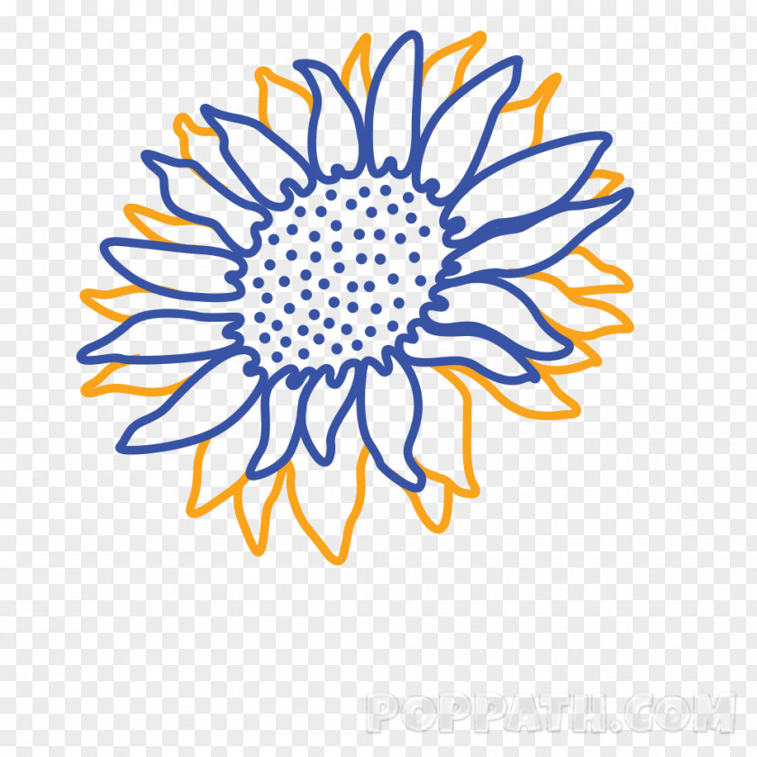 Flower Common Sunflower Drawing Cut Flowers Clip Art PNG