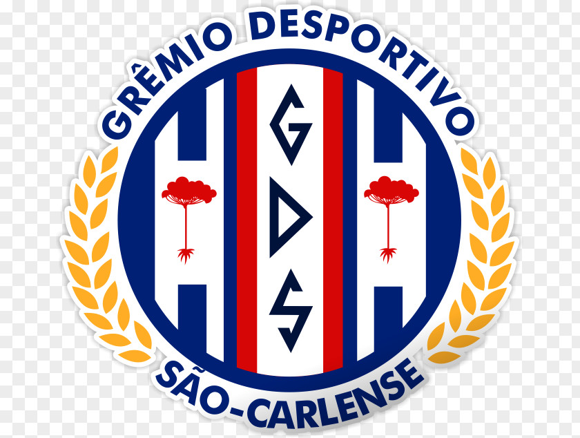 Football Campeonato Paulista Sociedade Esportiva Itapirense Independente Futebol Clube Amaral PNG