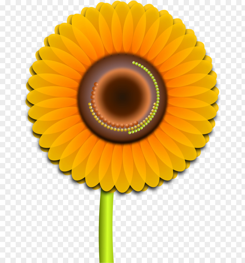 Free Vector Sun Common Sunflower Clip Art PNG