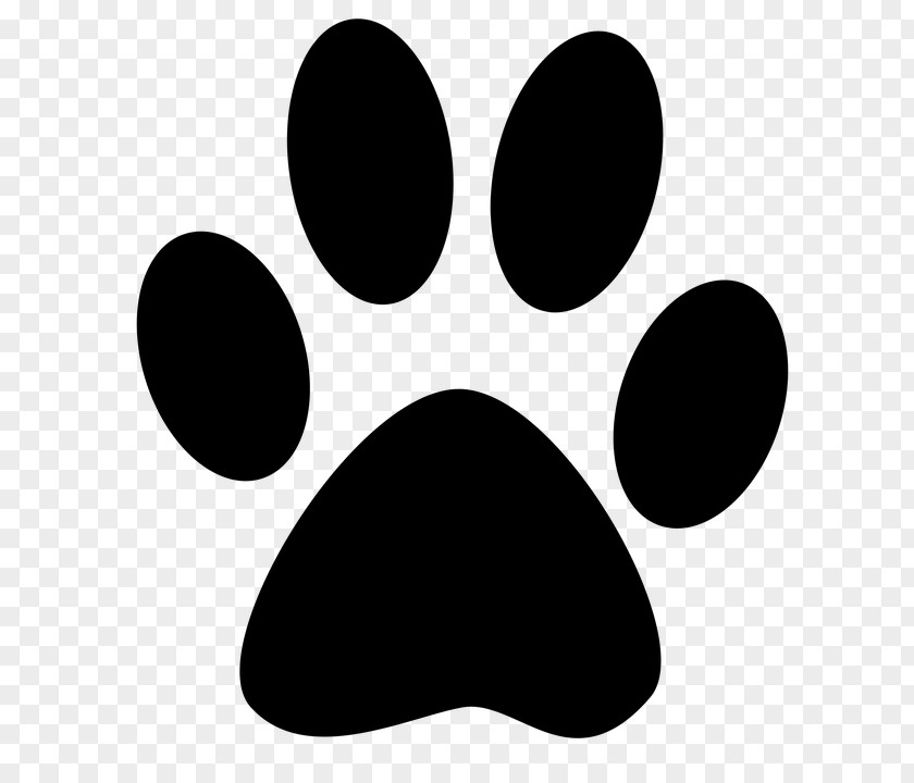 Next Level Letter Head Cat Dog Paw Kitten Felidae PNG