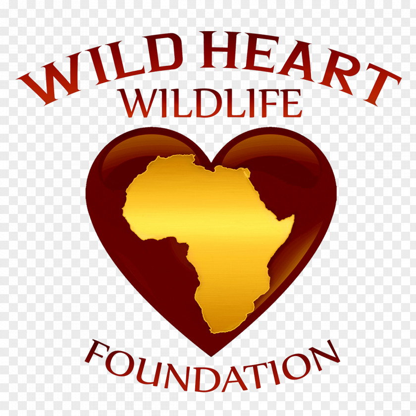 Organization Non-profit Organisation African Wildlife Foundation Wilderness PNG