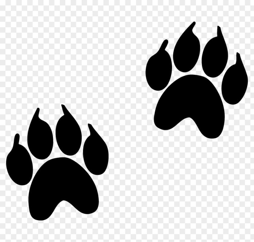 Apes Vector Animal Track Footprint Paw Dog PNG