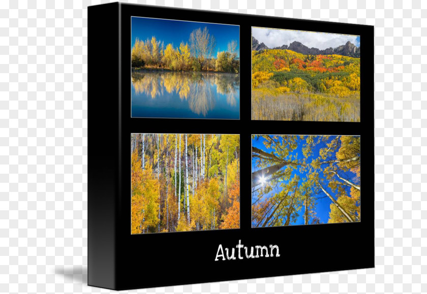 Autumn Price To Television Aspen Modern Art Gallery Wrap PNG