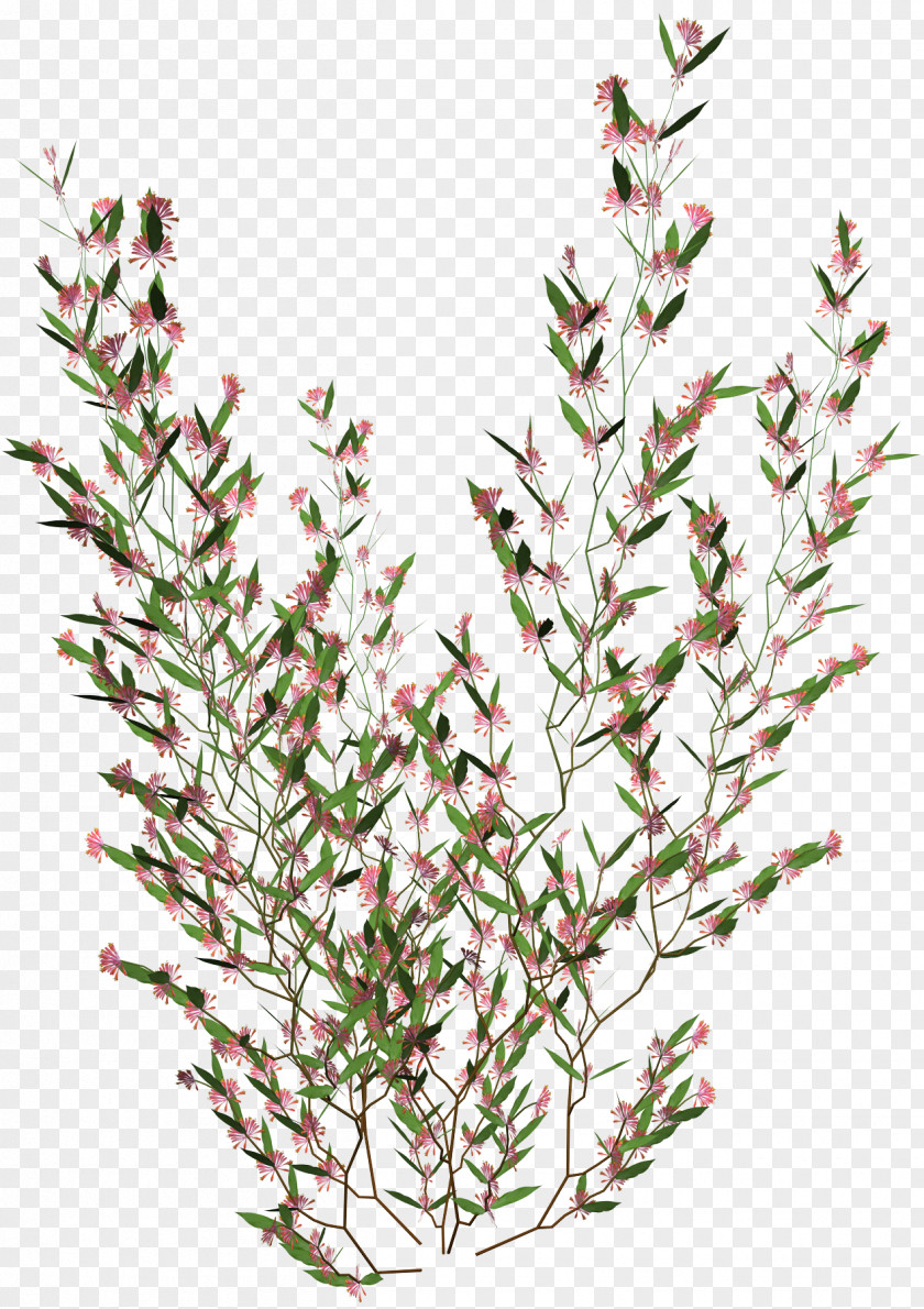 Bushes Flower Garden Clip Art PNG