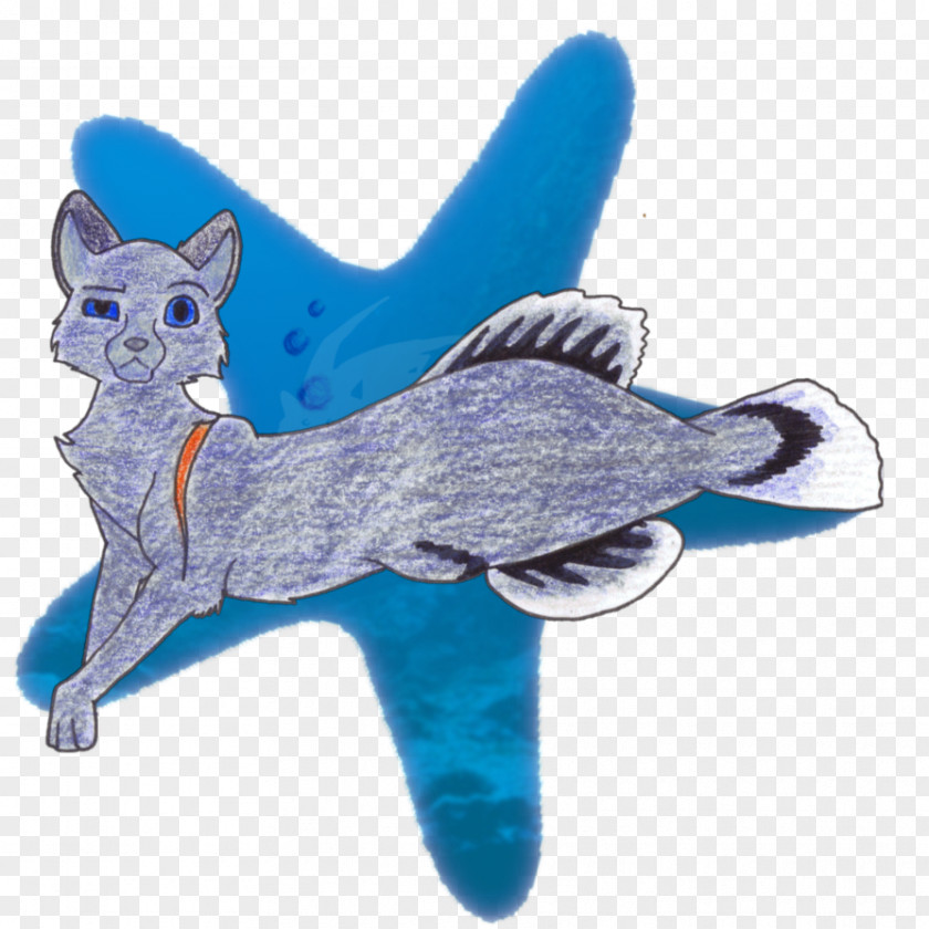 Cat Dog Marine Mammal Canidae PNG