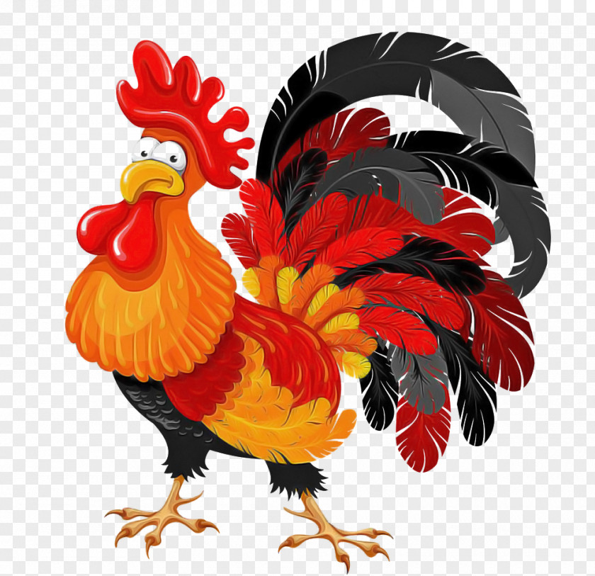 Chicken Rooster Bird Comb Fowl PNG