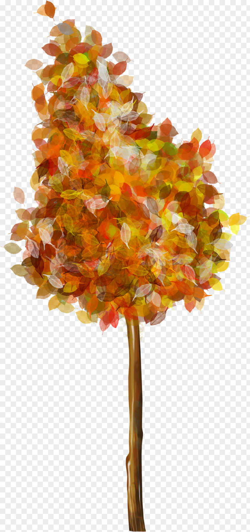 Fir-tree Picture Frames PNG