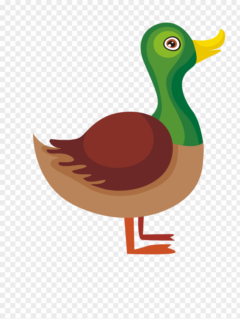 Cartoon Duck Alphabet Letter PNG