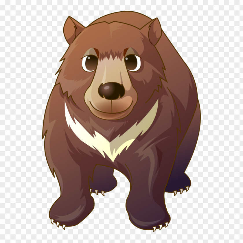 European Brown Bear Polar Vector Graphics Image Drawing PNG