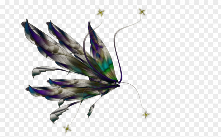 Fairy Angelet De Les Dents PNG