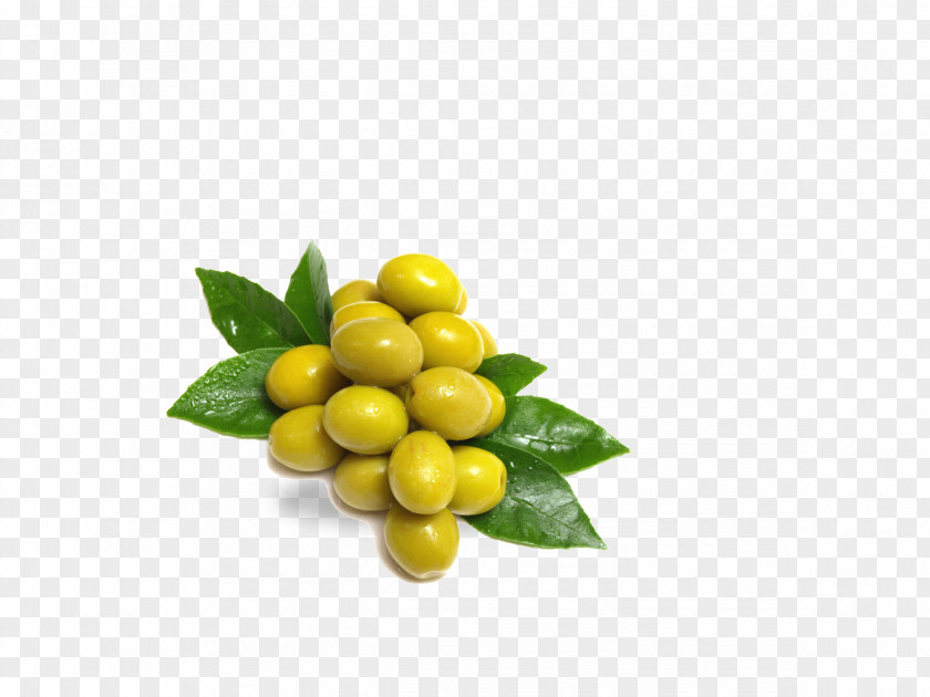 Fruit Olives Pizza Cream Salami Olive PNG