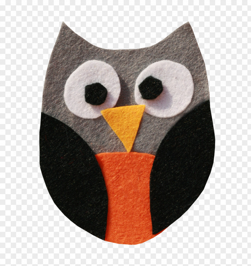 Owls Bird Of Prey Owl Beak Animal PNG