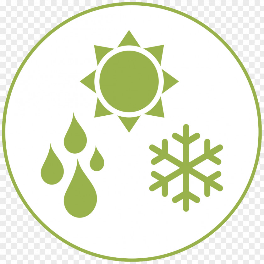 Snowflake Symbol PNG