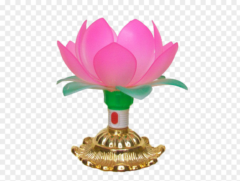 The Temple Opening Lotus Lamp Light PNG