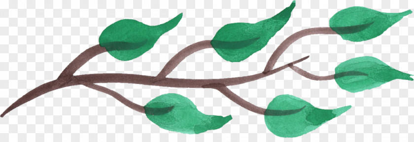 Vegetables Watercolor Clip Art Leaf File Format Plant Stem PNG