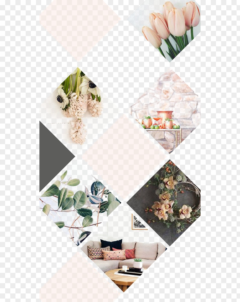 Creative Diamond Geometry Mood Board Interior Design Services Studio Floral PNG