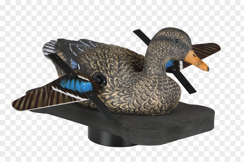 Hen Duck Mallard Bird Goose Decoy PNG