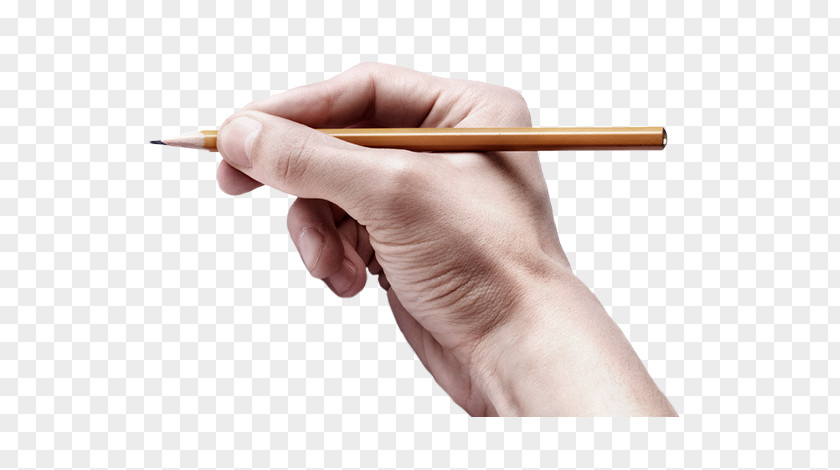 Holding A Pencil Hand PNG