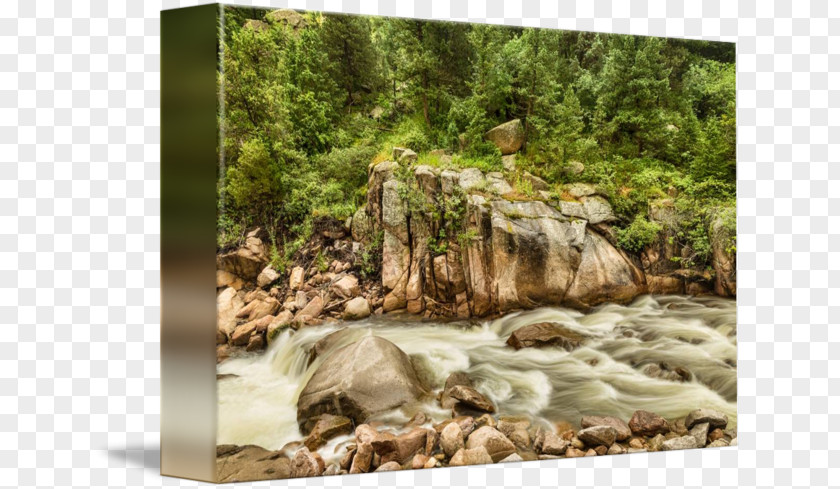 Mountain Stream Nature Reserve Water Resources State Park University Of North Dakota Wood PNG