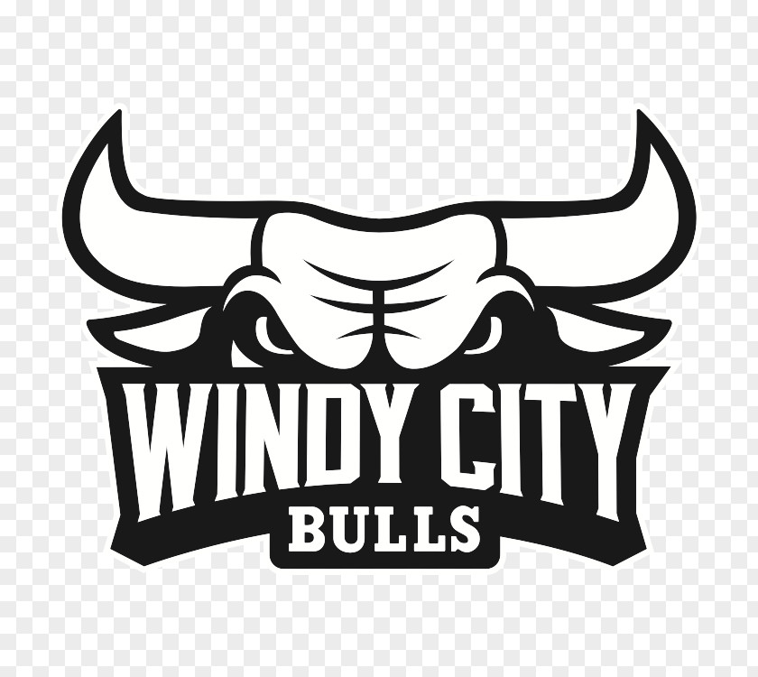 Windy City Bulls NBA Development League Chicago Canton Charge PNG