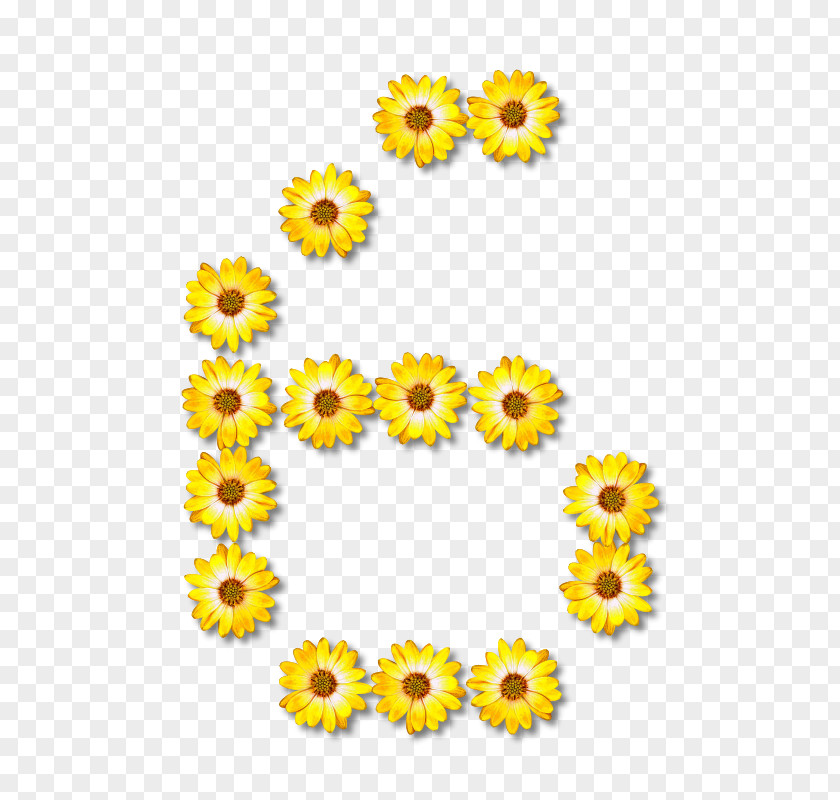 Alphabet Flower Z O Letter Clip Art PNG