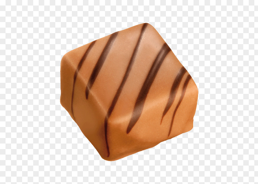 Chocolate Praline Fudge Truffle Bonbon PNG