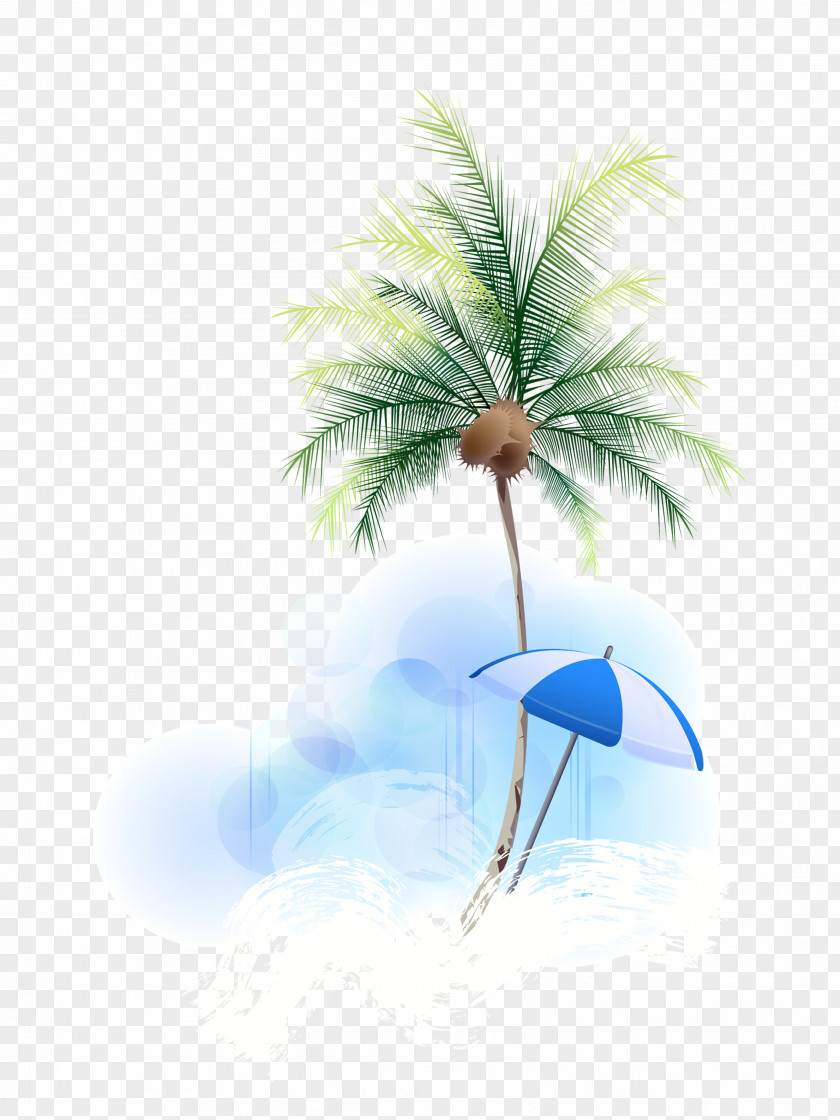 Coconut Tree Sandy Beach Hainan Clip Art PNG
