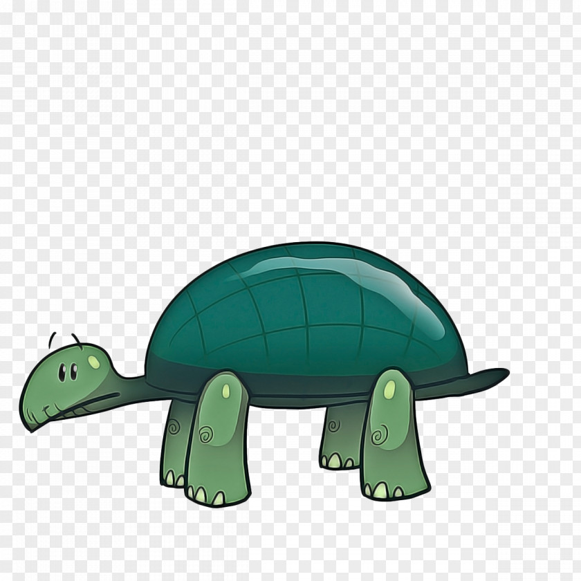 Pond Turtle Animal Figure Sea Background PNG