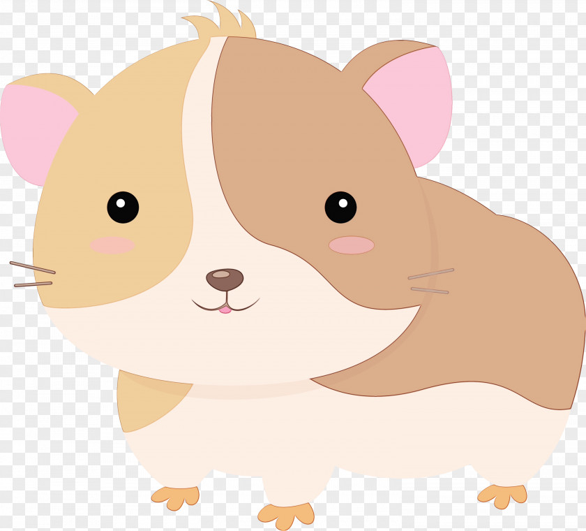 Rat Muroidea Hamster PNG