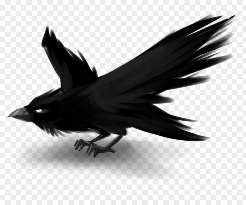 Raven Avatar DeviantArt Digital Art Drawing PNG