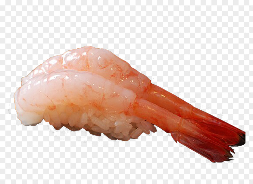 Shrimp Sushi Caridea Sashimi PNG