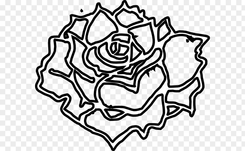 Blooming Rose Clipart Flowering Plant White Line Art Clip PNG