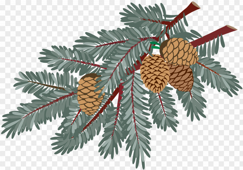 Pine Cone Material Spruce New Year Christmas Clip Art PNG