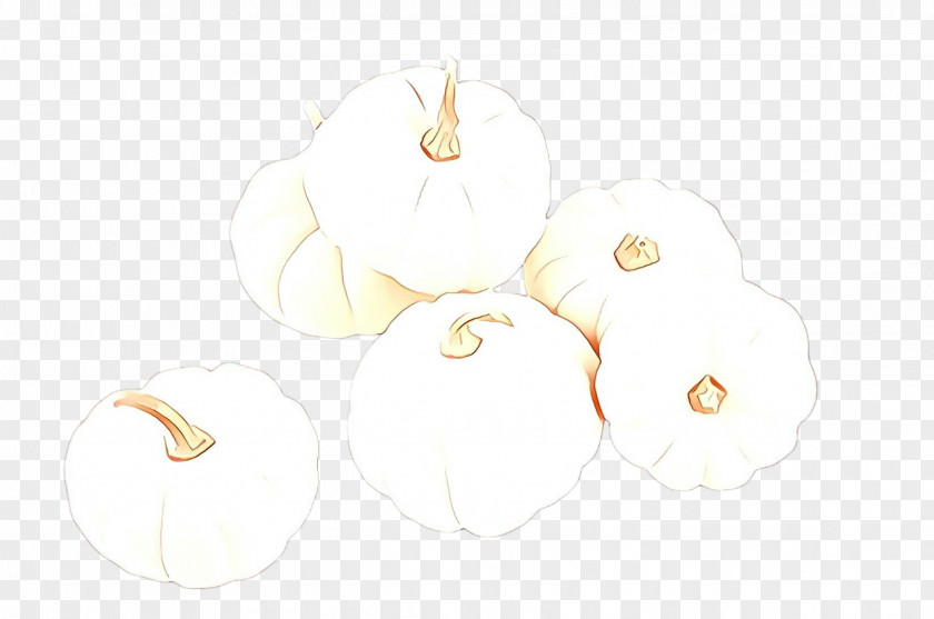 Plant White PNG