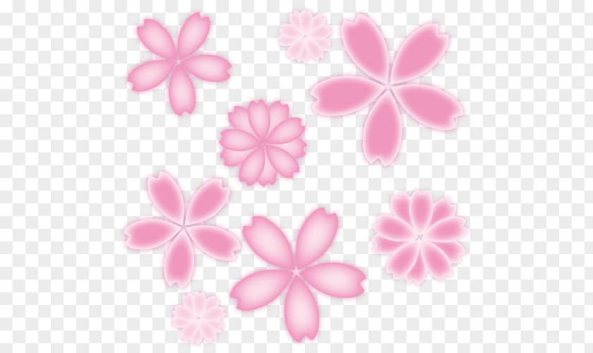 Spring Sakura Flower Illustration. PNG