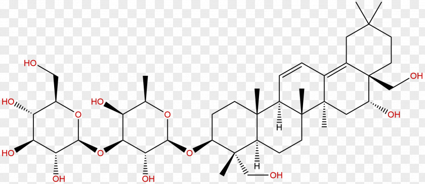 柴胡 Bupleurum Chinense Scorzonerifolium Chinese Herbology Phytochemical PNG