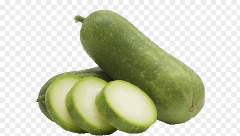 Cucumber Pickled Wax Gourd Summer Squash PNG