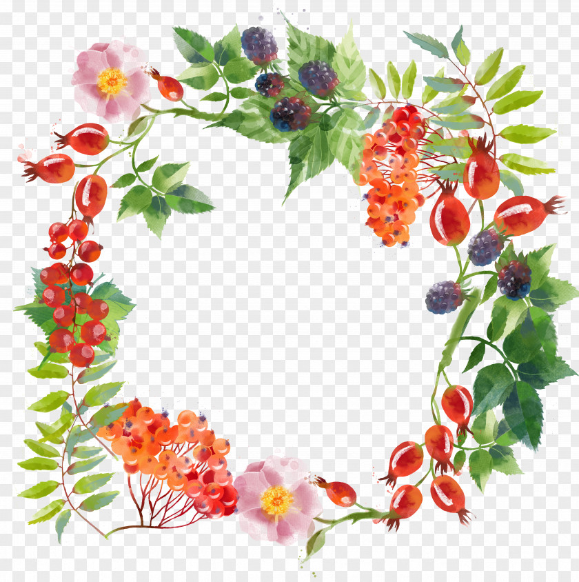 Design Berry Vector Graphics Clip Art Watercolor Painting PNG