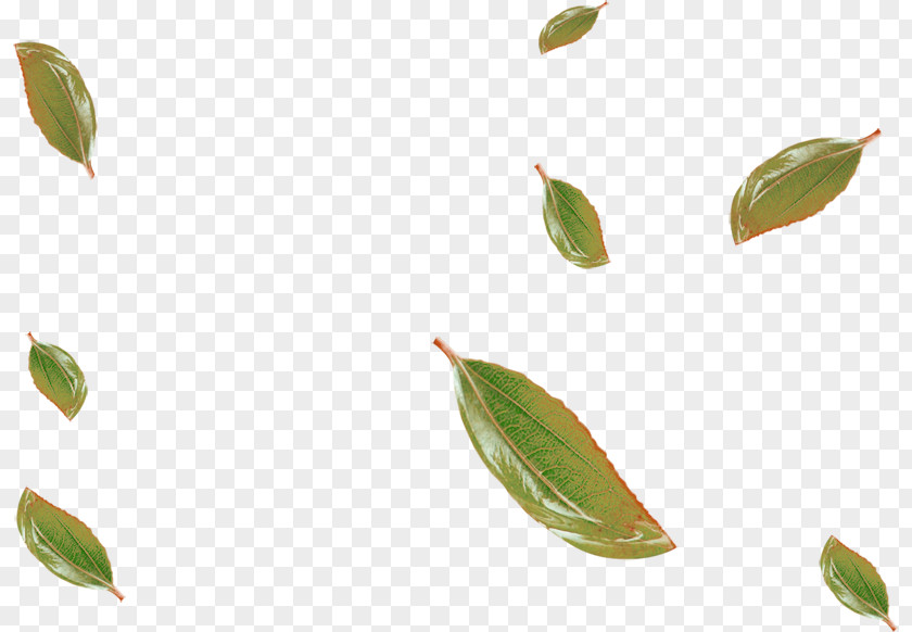 Green Leaves Falling Floating Material Leaf Clip Art PNG