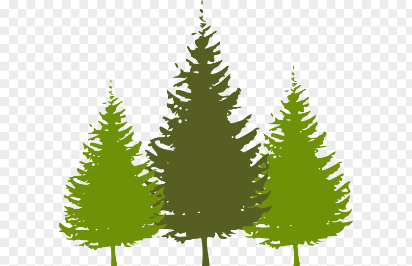 Redwood Cliparts Christmas Tree Fir Clip Art PNG