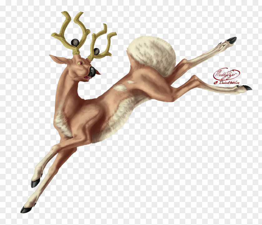 Reindeer Stantler Drawing Art PNG