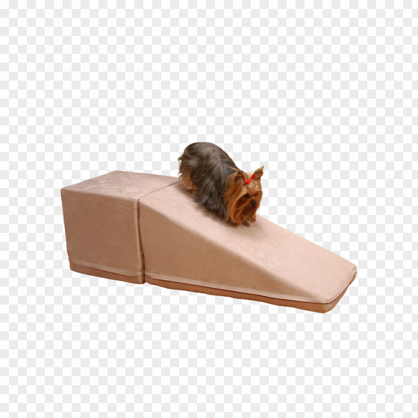 Cat Pet Tree Bed Furniture PNG