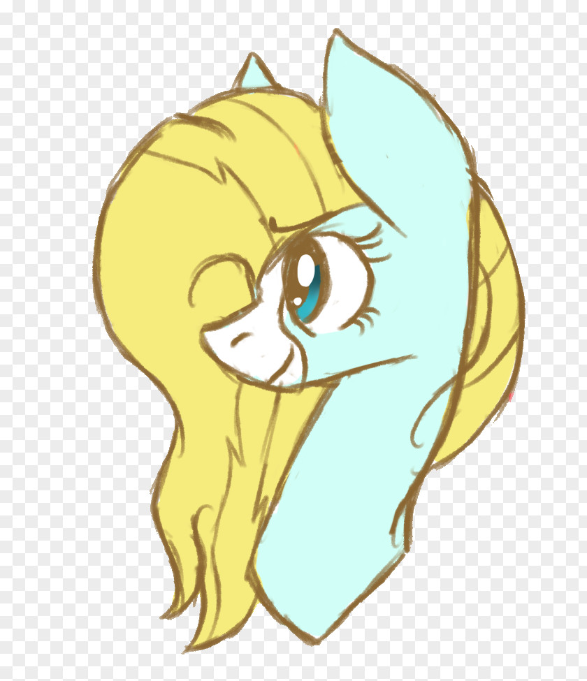 Cat Whiskers Horse Pony PNG