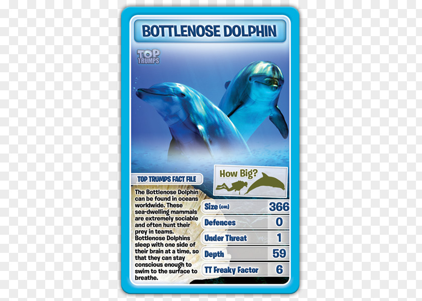 Dolphin Winning Moves Top Trumps Card Game PNG