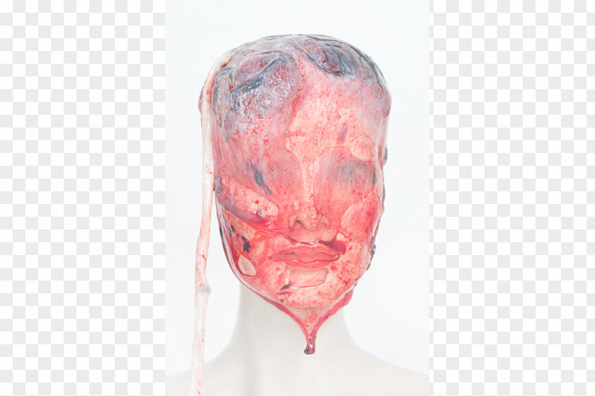 Gravidez Human Mouth PNG