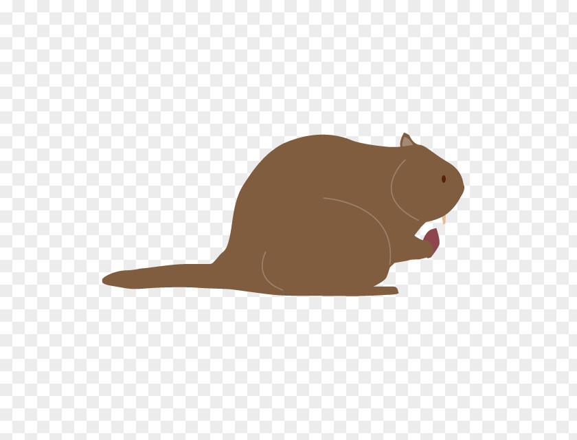 Beaver Rodent Gerbil Vector Graphics Mouse PNG