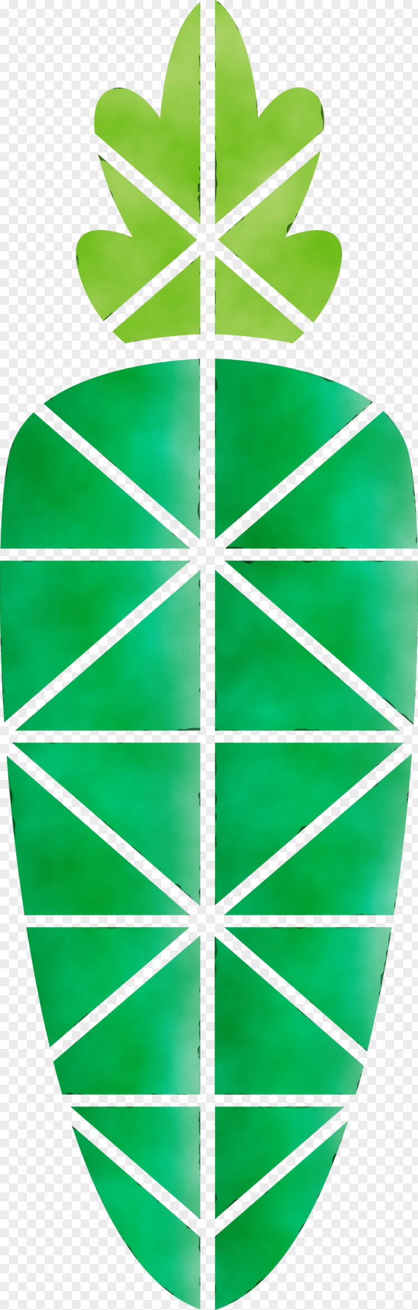 Green Line Symmetry Pattern PNG