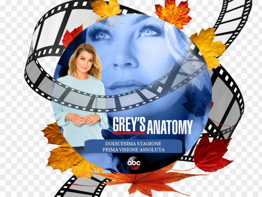 Grey Anatomy Shondaland Spoiler Headgear Shelf Episode PNG