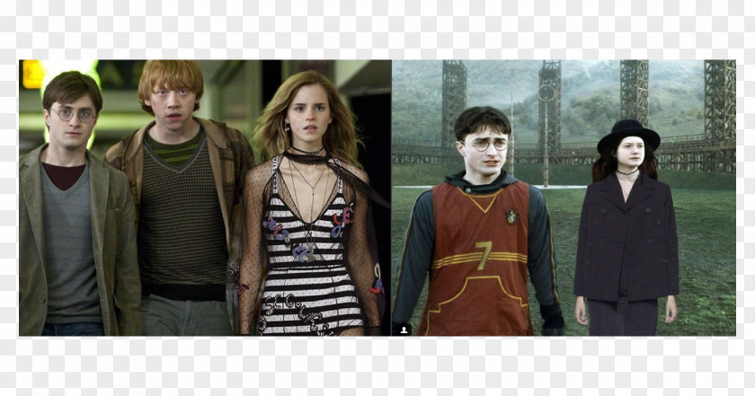 Harry Potter And The Half-Blood Prince Ron Weasley Seamus Finnigan Gryffindor PNG