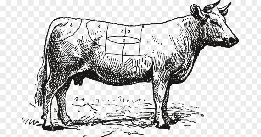 Meat Beef Cattle Charolais Steak PNG